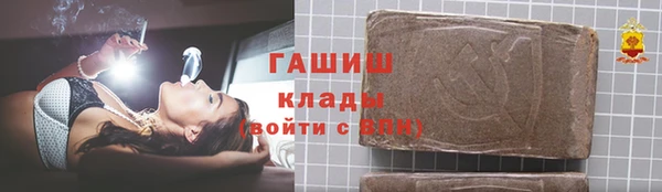 СК Алексин