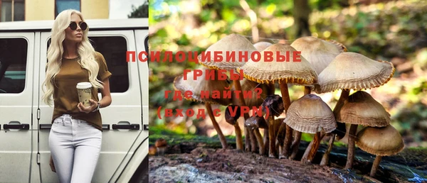 спиды Алексеевка
