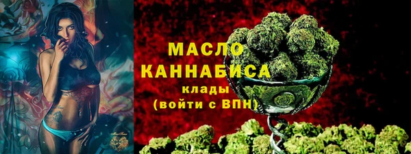 СК Алексин